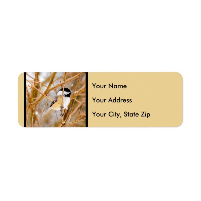 Black-Capped Chickadee - Original Photograph Label (Front)