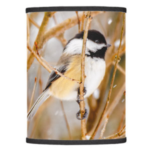 Black-Capped Chickadee - Original Photograph Lamp Shade