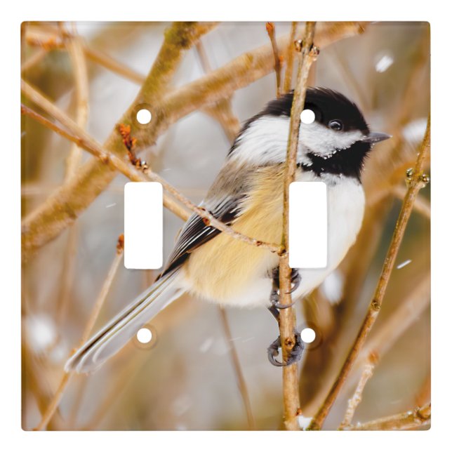 Black-Capped Chickadee - Original Photograph Light Switch Cover (Front)
