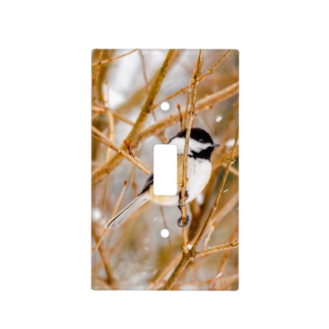 Black-Capped Chickadee - Original Photograph Light Switch Cover (Front)