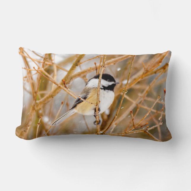 Black-Capped Chickadee - Original Photograph Lumbar Pillow (Front)
