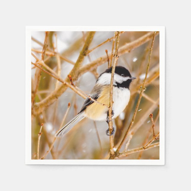 Black-Capped Chickadee - Original Photograph Napkins (Front)