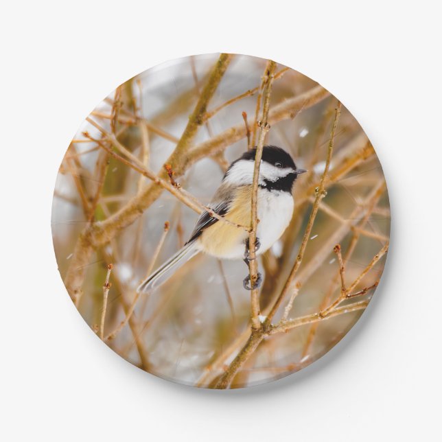 Black-Capped Chickadee - Original Photograph Paper Plates (Front)
