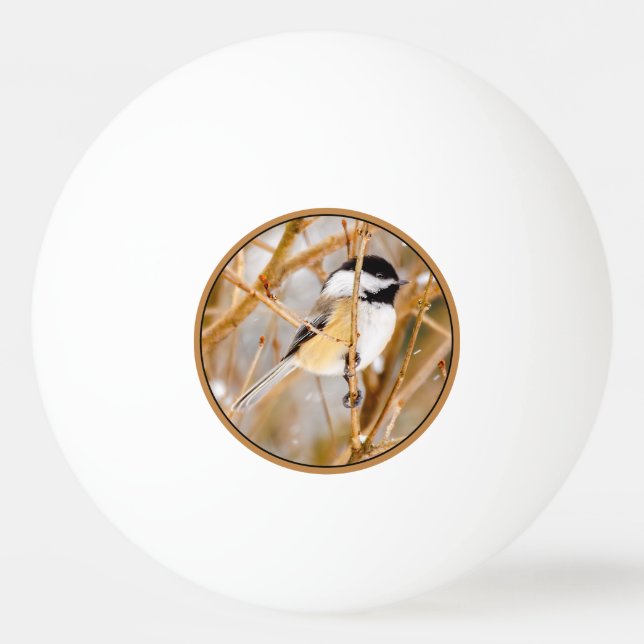 Black-Capped Chickadee - Original Photograph Ping Pong Ball (Front)