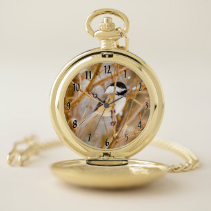 Black-Capped Chickadee - Original Photograph Pocket Watch