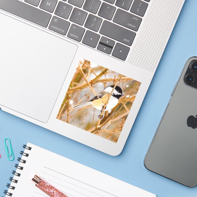 Black-Capped Chickadee - Original Photograph Sticker (Laptop w/ iPhone)