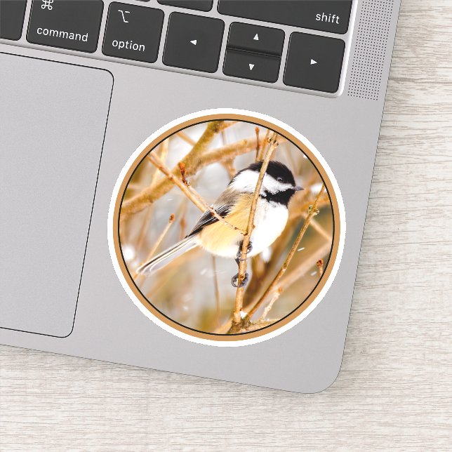 Black-Capped Chickadee - Original Photograph Sticker (Detail)