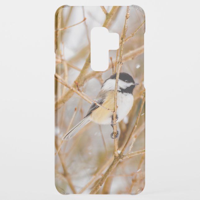 Black-Capped Chickadee - Original Photograph Uncommon Samsung Galaxy Case (Back)