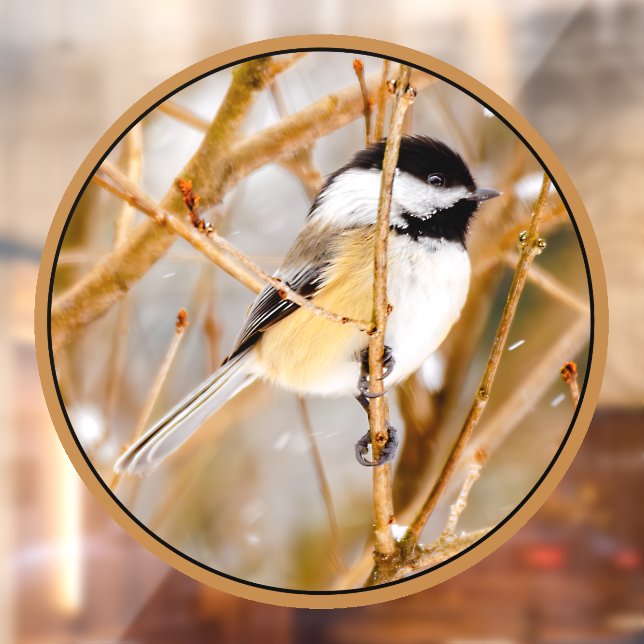 Black-Capped Chickadee - Original Photograph Window Cling (Sheet 2)