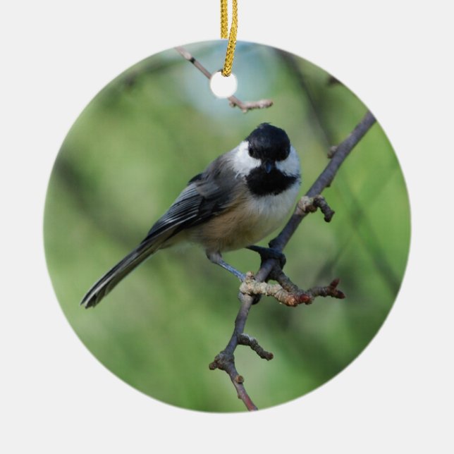 Black-capped Chickadee ornament (Front)