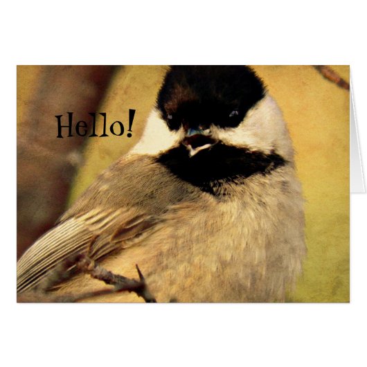 Black Capped Chickadee Photo Cards (Front Horizontal)