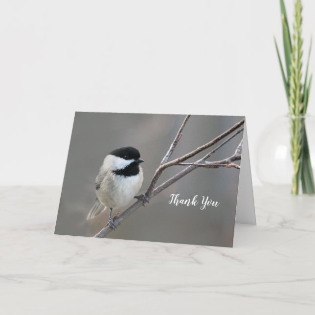 Black Capped Chickadee Photo Thank You Card (Front)