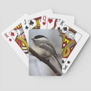 Black Capped Chickadee Poker Cards