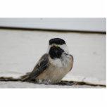 Black capped chickadee sculpture<br><div class="desc">Black capped chickadee's first flight</div>