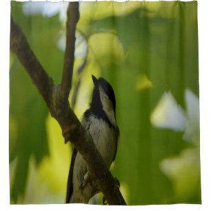 BLACK-CAPPED CHICKADEE SHOWER CURTAIN