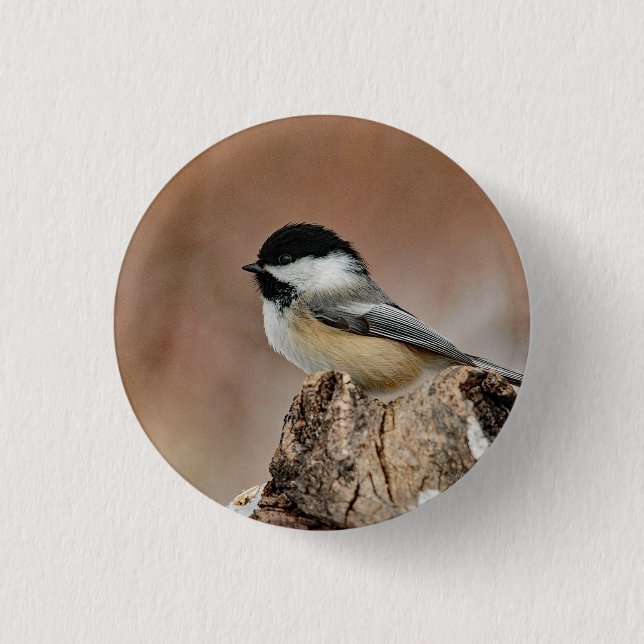 Black Capped Chickadee Snow Photo Button (Front)