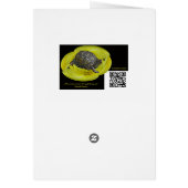 Black-capped Chickadee - Songbird (Back)