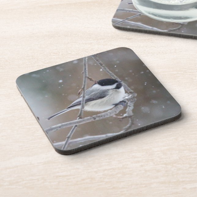 Black-capped Chickadee - Songbird Beverage Coaster (Left Side)