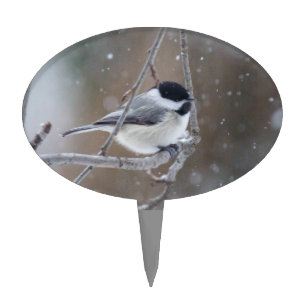 Black-capped Chickadee - Songbird Cake Topper