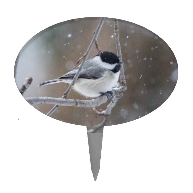Black-capped Chickadee - Songbird Cake Topper (Front)