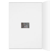 Black-capped Chickadee - Songbird Cards (Inside (Left))