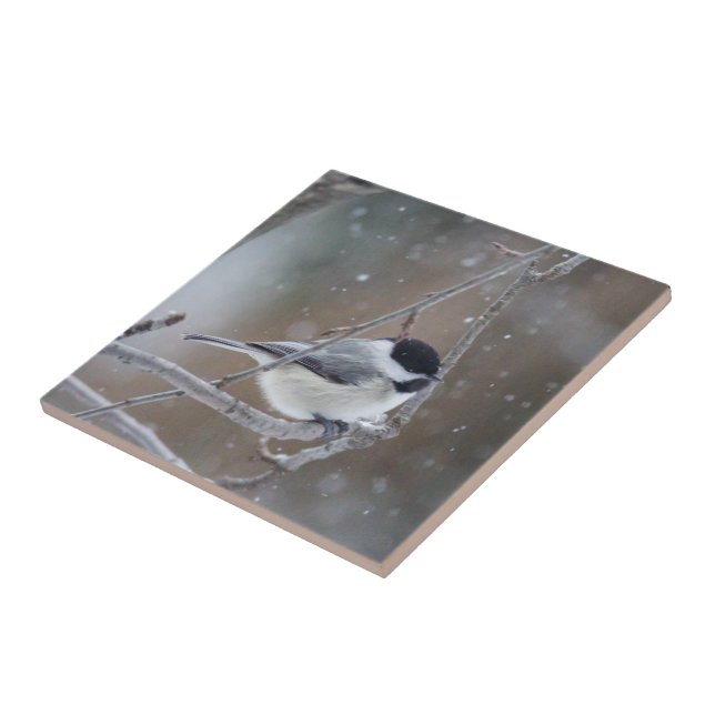 Black-capped Chickadee - Songbird Ceramic Tile (Side)