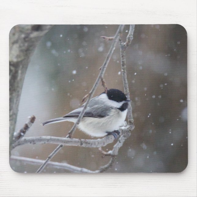 Black-capped Chickadee - Songbird Mouse Pad (Front)