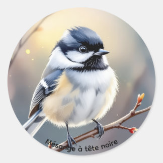 Black-capped Chickadee Sticker – Burbank Pond, 