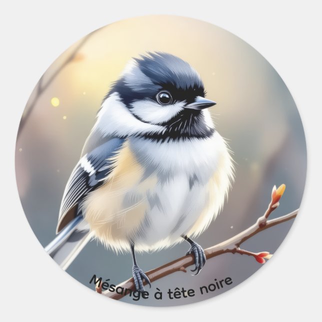 Black-capped Chickadee Sticker – Burbank Pond,  (Front)