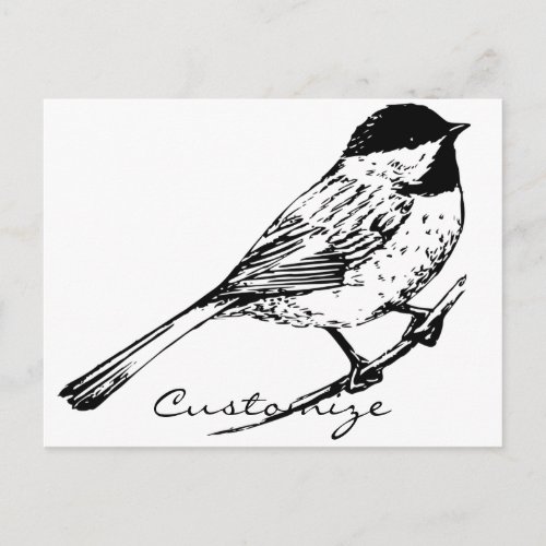 Black_capped Chickadee Thunder_Cove Postcard