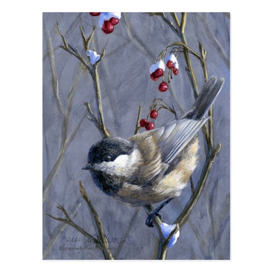 Black Capped Chickadee Winter Red Berries and Snow Postcard | Zazzle.com