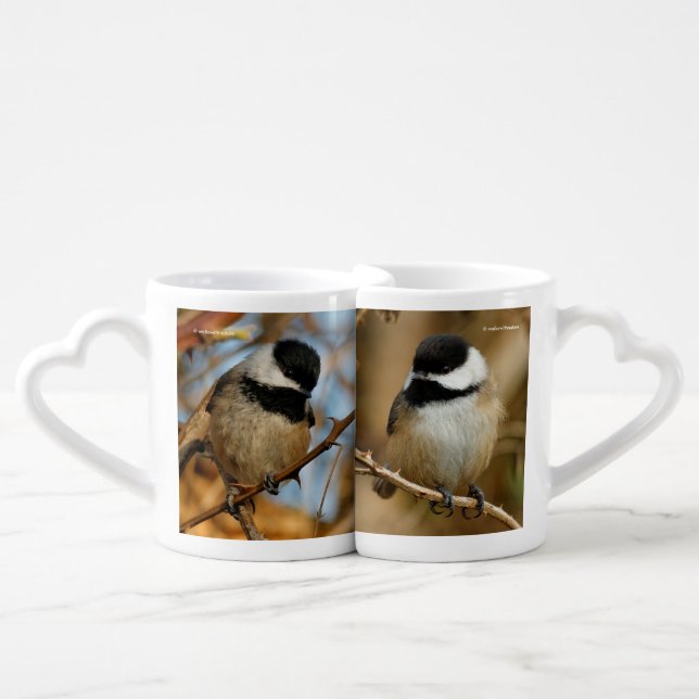 Black-Capped Chickadees Coffee Mug Set (Front Nesting)