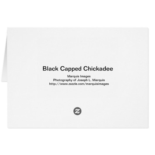 Black-capped Cickadee (Back Horizontal)