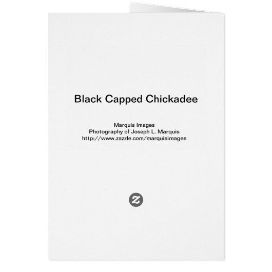 Black-capped Cickadee (Back)