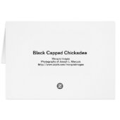 Black-capped Cickadee Cards (Back Horizontal)