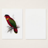 Black-Capped Lory by Edward Lear (Front & Back)
