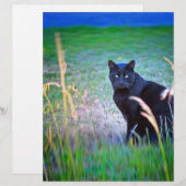 Black Cat (Front/Back)