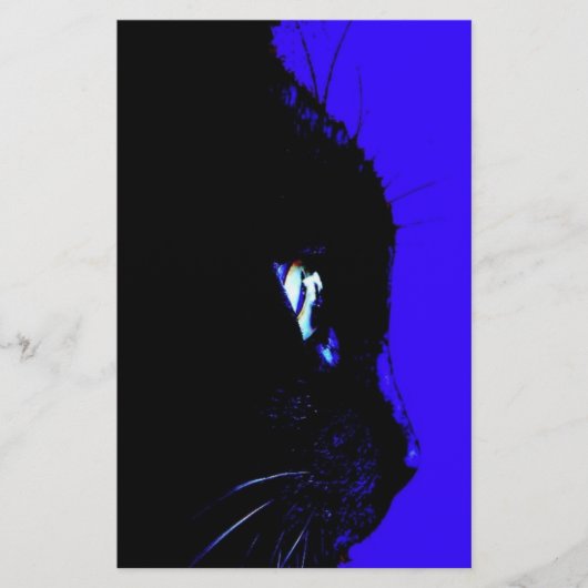 Black Cat (Front)