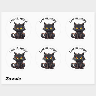 Black Cat 18th Birthday White Classic Round Sticker