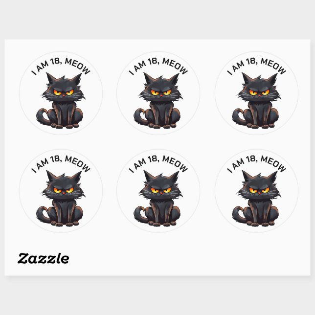 Black Cat 18th Birthday White Classic Round Sticker (Sheet)