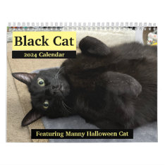 Black Cat 2024 Calendar at Zazzle