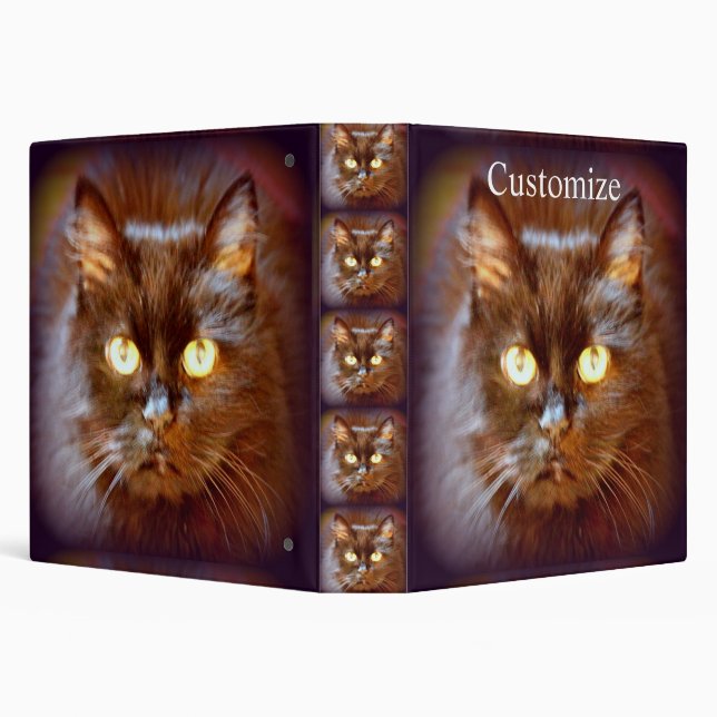 black cat 3 ring binder (Background)