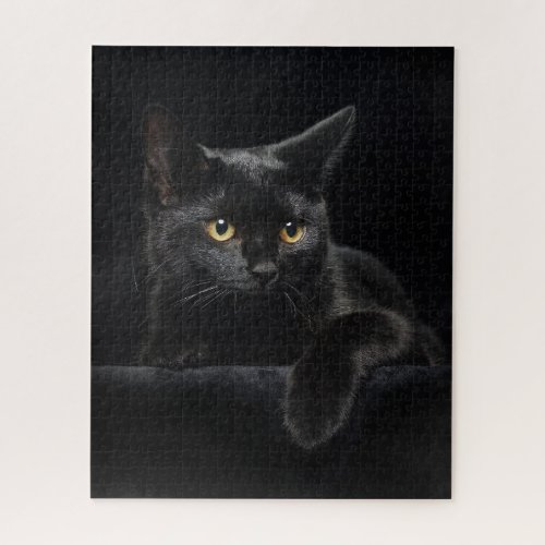 Black Cat 500 Puzzle