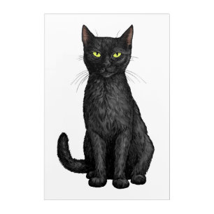 Black cat acrylic print