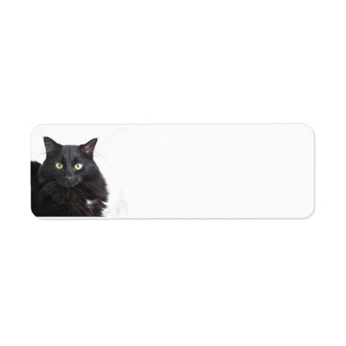 Black Cat Address labels