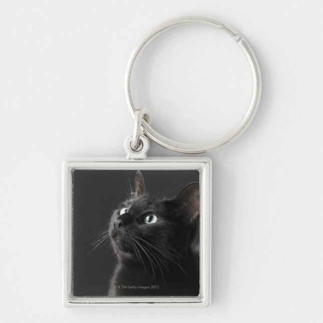 Black cat against black background, close-up keychain (Front)