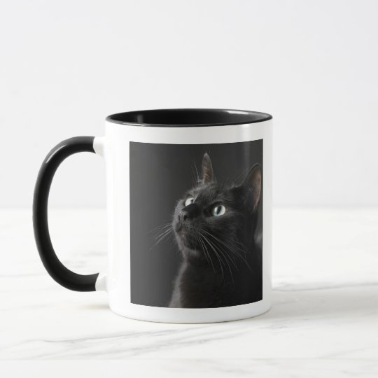 Black cat against black background, close-up mug