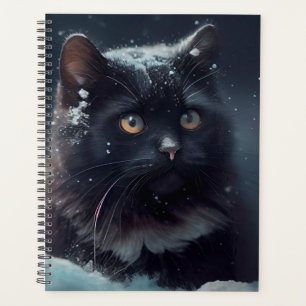 Black cat Agendas