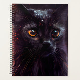 Black cat Agendas