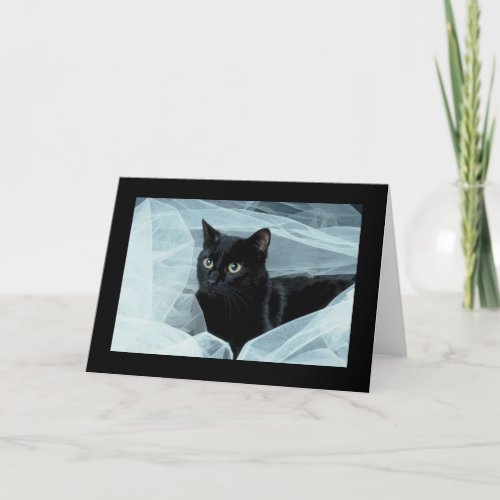 Black Cat All Occasion Card